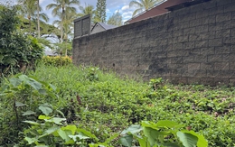 Con mèo đang trốn ở đâu?