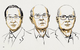 Nobel Hóa học 2025: Từ 'đồ chơi xếp hình' đến vật liệu thế kỷ