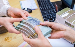 Khi các 'đại gia' nuôi heo, phân bón, bất động sản... cùng báo lãi khủng