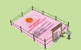 1.001 cách chống xây nhà nhầm đất