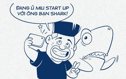Làm bạn với Shark có gì vui?