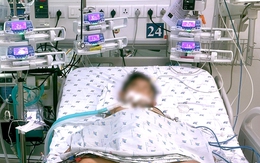 Trẻ ở Gia Lai đã vượt qua nguy kịch sau tổn thương đa cơ quan do ong vò vẽ đốt