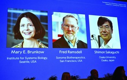 Nobel Y sinh 2025: đi tìm chiếc chìa khóa của bệnh tự miễn