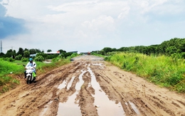 Đê biển cấp bách nhưng thi công chậm như ‘rùa bò’