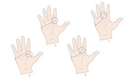 Quiz: Bạn có tố chất lãnh đạo bẩm sinh hay là người có trái tim nhân hậu?