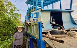 Dân nuôi hải sản gạt nước mắt nhìn cá chết trắng mặt đầm sau bão số 13