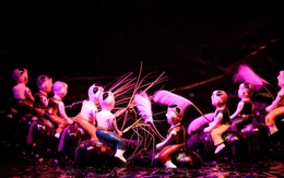 Múa rối nước, quốc tế kinh ngạc, người Việt thờ ơ