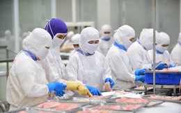 Lo xuất khẩu thủy sản chững lại cuối năm