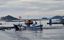 Đắk Lắk đẩy mạnh chống khai thác IUU, hướng đến nghề biển bền vững