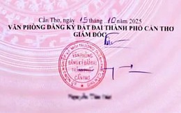 Chữ ký phải đẹp, phải khác nét gạch, không thể toàn nét ngang nét dọc?