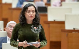 Đại biểu: 'Một chiếc váy, lọ kem, chỉ cần vài câu nói vu vơ đã có nghìn like, share và đội quân ảo'