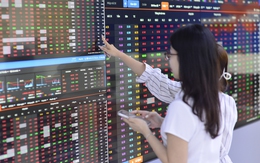 Nhiều cổ phiếu 'tỉ USD' mất hơn 20% vốn hóa, có cả mã mới chào sàn HoSE