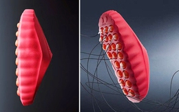 Tuyển Anh mang giày ‘thay đổi tâm trí’ trước trận gặp Serbia