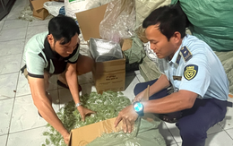 Quản lý thị trường TP.HCM thu giữ hơn 1 tấn kẹo dẻo không rõ nguồn gốc rao bán dịp Tết