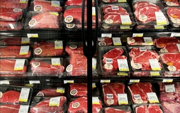 Ông Trump giảm thuế thịt bò, cà phê khi người dân bức xúc vì giá thực phẩm leo thang