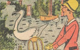 Người đàn ông ẩn giấu ở đâu?