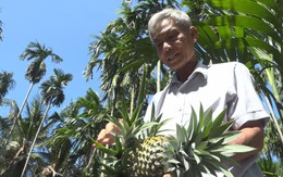 Cuộc thi Lan tỏa năng lượng tích cực 2025: Người giữ hồn khóm Tắc Cậu