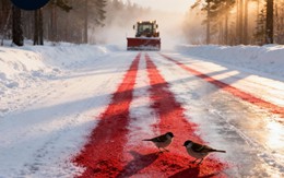 Thụy Điển rải 'loại muối thực vật mới' lên đường vào mùa đông để làm tan băng và cho chim ăn?