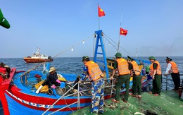 Tàu cá không ghi nhật ký khai thác thủy sản bị phạt tới 700 triệu đồng