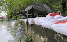 Đợt triều cường mới có thể ngập bán đảo Thanh Đa, phường Bình Quới ứng phó ra sao?