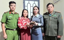 Rùa đất quý hiếm lạc vào khu dân cư, cô gái báo phường để thả về tự nhiên