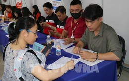 TP.HCM tuyển mới hơn 15.800 lao động