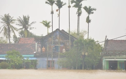 Vào tâm lũ Hòa Xuân, Phú Yên cũ: Những tiếng vọng từ khe cửa sổ, nóc nhà xin tiếp tế đồ ăn