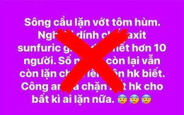 'Vỡ đập Đồng Cam', '10 người chết vì dính axit khi lặn vớt tôm hùm' là tin giả