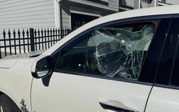 Lan truyền video đặc vụ biên phòng Mỹ dùng súng đập vỡ kính ô tô để bắt người