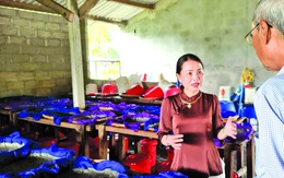 Nước mắm, cơm và rượu đế dưới góc nhìn ngoại quốc