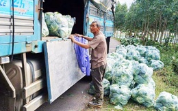Kêu gọi ưu tiên hàng hóa, khuyến mãi cho vùng lũ: Dùng đồ ngon và đừng tăng giá quá đáng