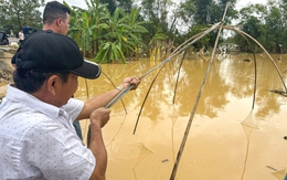 Người dân xứ Quảng đổ ra đồng kéo 'tủ' bắt cá 'rầm' kho nghệ