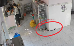 Nữ gia chủ hú hồn khi thấy rắn khủng bò trong nhà