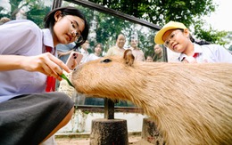 Cùng học sinh khám phá Thảo cầm viên: Bài học khoa học về bảo tồn thiên nhiên