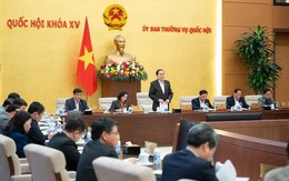 Tin tức sáng 24-11: Cho ý kiến sửa cơ chế đặc thù cho TP.HCM; Quốc hội thảo luận dự Luật Báo chí