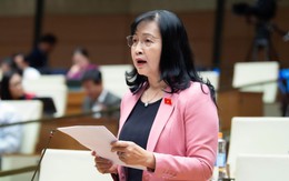 Tranh luận công nhận sản phẩm trí tuệ nhân tạo (AI), đại biểu đề nghị thận trọng tránh sao chép