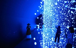 Chỉ 1 ngày ở Kuala Lumpur, đi đâu ngoài tháp đôi?