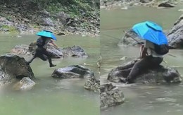 Cần thủ không nói nên lời khi trượt chân trên tảng đá