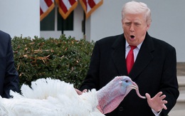 Ông Trump ân xá cho hai con gà tây nhân dịp Lễ Tạ ơn