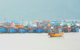 Khu vực vịnh Vũng Rô lập các tổ ứng phó với bão số 15