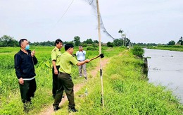 Tháo gỡ 240m lưới giăng bẫy chim ở xã Đông Thạnh, TP.HCM