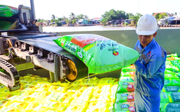 Đạm Phú Mỹ, Đạm Cà Mau cùng nhiều doanh nghiệp phân bón đồng loạt báo lãi đậm