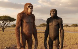 Phát hiện thêm một tổ tiên loài người sống cùng thời hóa thạch Lucy