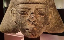 Hà Lan trao trả cổ vật 3.500 năm tuổi nhân dịp Ai Cập khai trương bảo tàng 1 tỉ USD