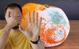 Đừng liều ăn thực phẩm mốc, nguy hiểm khôn lường