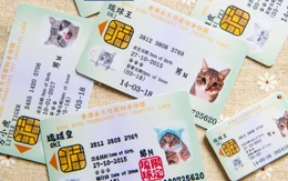Thú cưng ở Hong Kong có được cấp căn cước định danh?