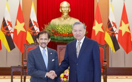 Tổng Bí thư Tô Lâm tiếp Quốc vương Brunei