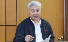 Đại biểu cho rằng áp thuế theo tỉ lệ doanh thu, hộ kinh doanh nhỏ lẻ thiệt thòi