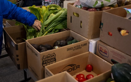 Có đến 59% người nhận trợ cấp thực phẩm tại Mỹ không phải là công dân Mỹ?