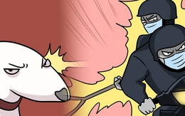 Khi Diệp Vấn 'nhập' cậu Vàng